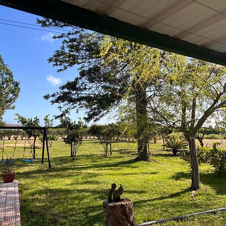 法鲁区Quinta Dos Viegas别墅 外观 照片