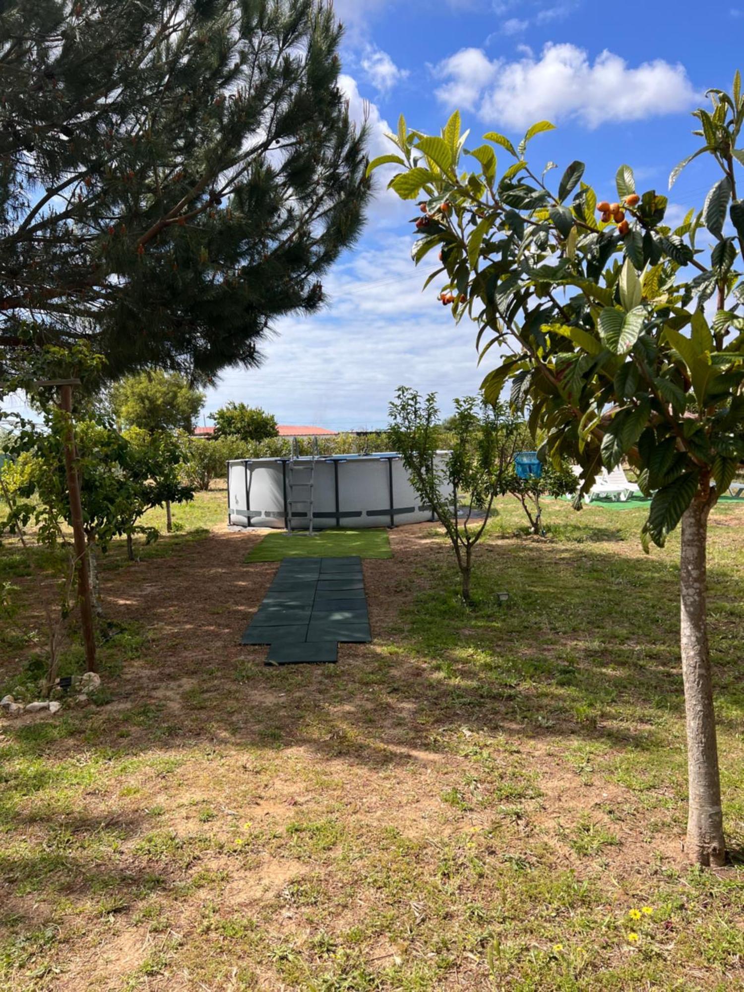 法鲁区Quinta Dos Viegas别墅 外观 照片