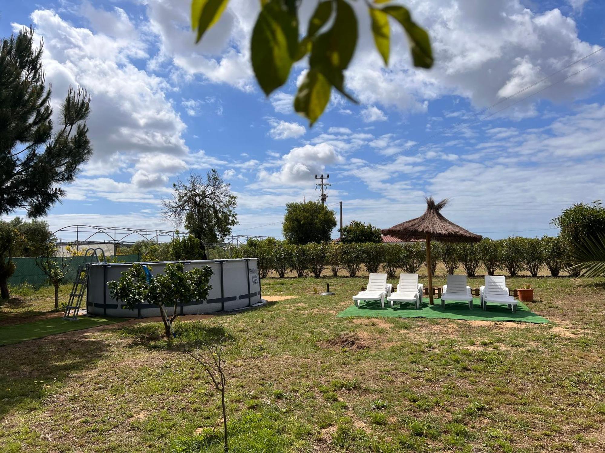 法鲁区Quinta Dos Viegas别墅 外观 照片